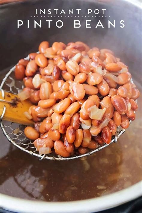 Unlocking the Potential of Beans in Fighting Hunger and Malnutrition